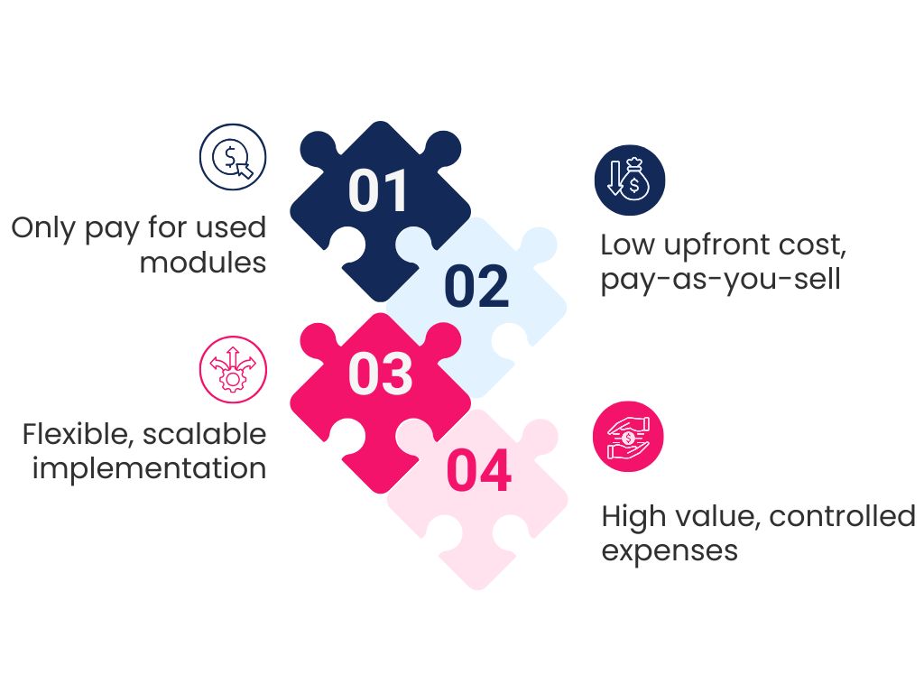 Investment & Pricing Model Agiliux Consulting - Product Development and Management