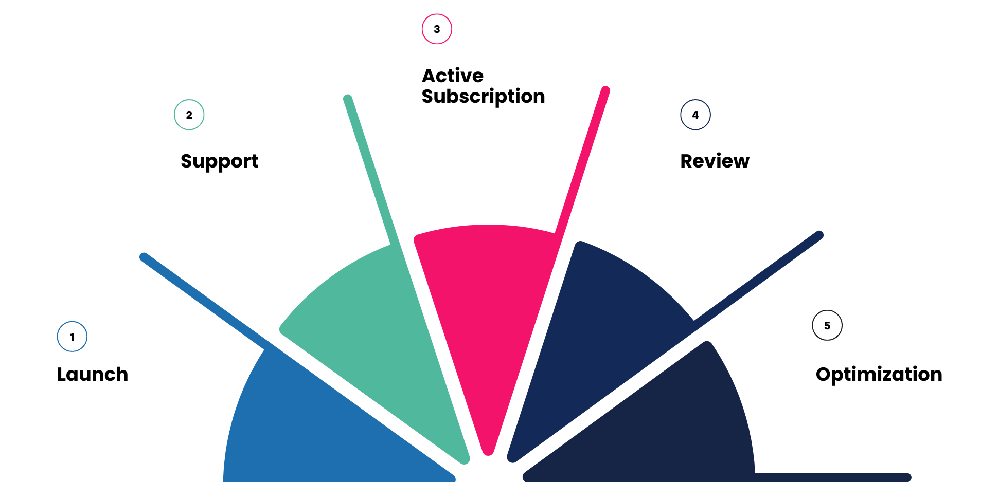 Go-Live & Transition