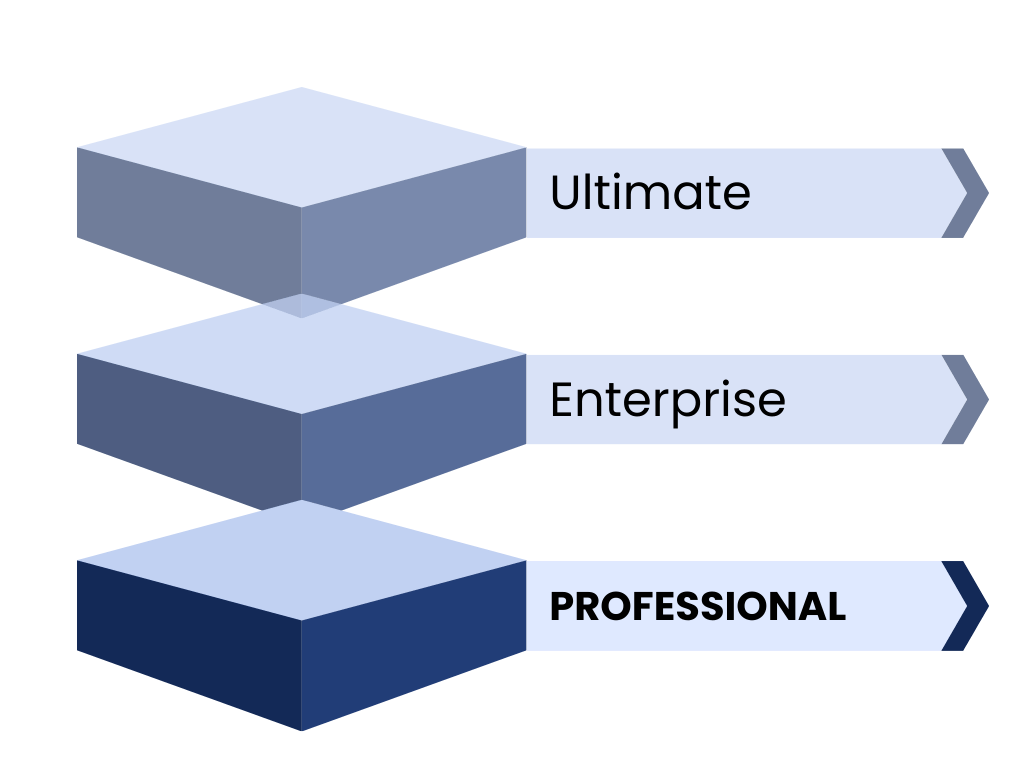 Professional Edition